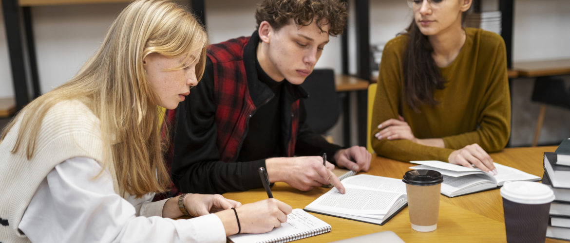 Alternativas à universidade